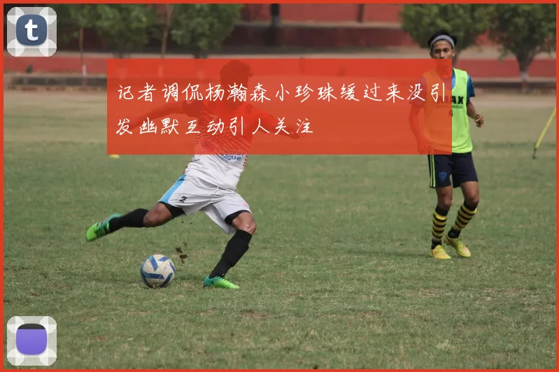 记者调侃杨瀚森小珍珠缓过来没引发幽默互动引人关注