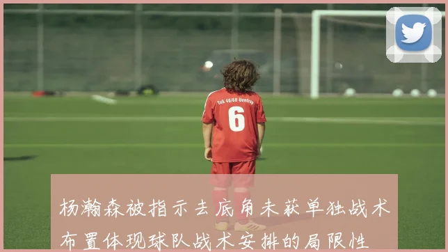 杨瀚森被指示去底角未获单独战术布置体现球队战术安排的局限性